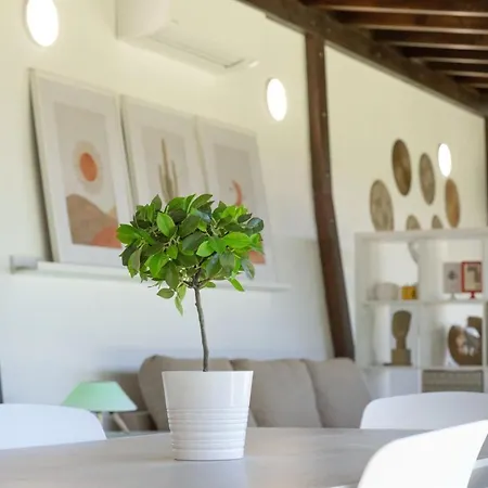 Apartment Moderno Loft Recien Reformado En Santa Cruz De Tenerife