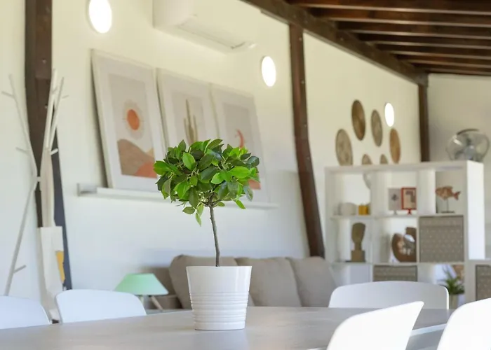 Apartamento Moderno Loft Recien Reformado En Santa Cruz De Tenerife