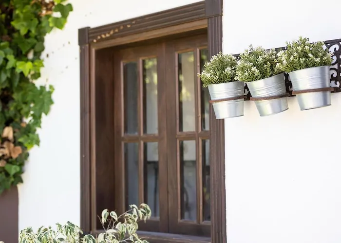 Moderno Loft Recien Reformado En Santa Cruz De Tenerife